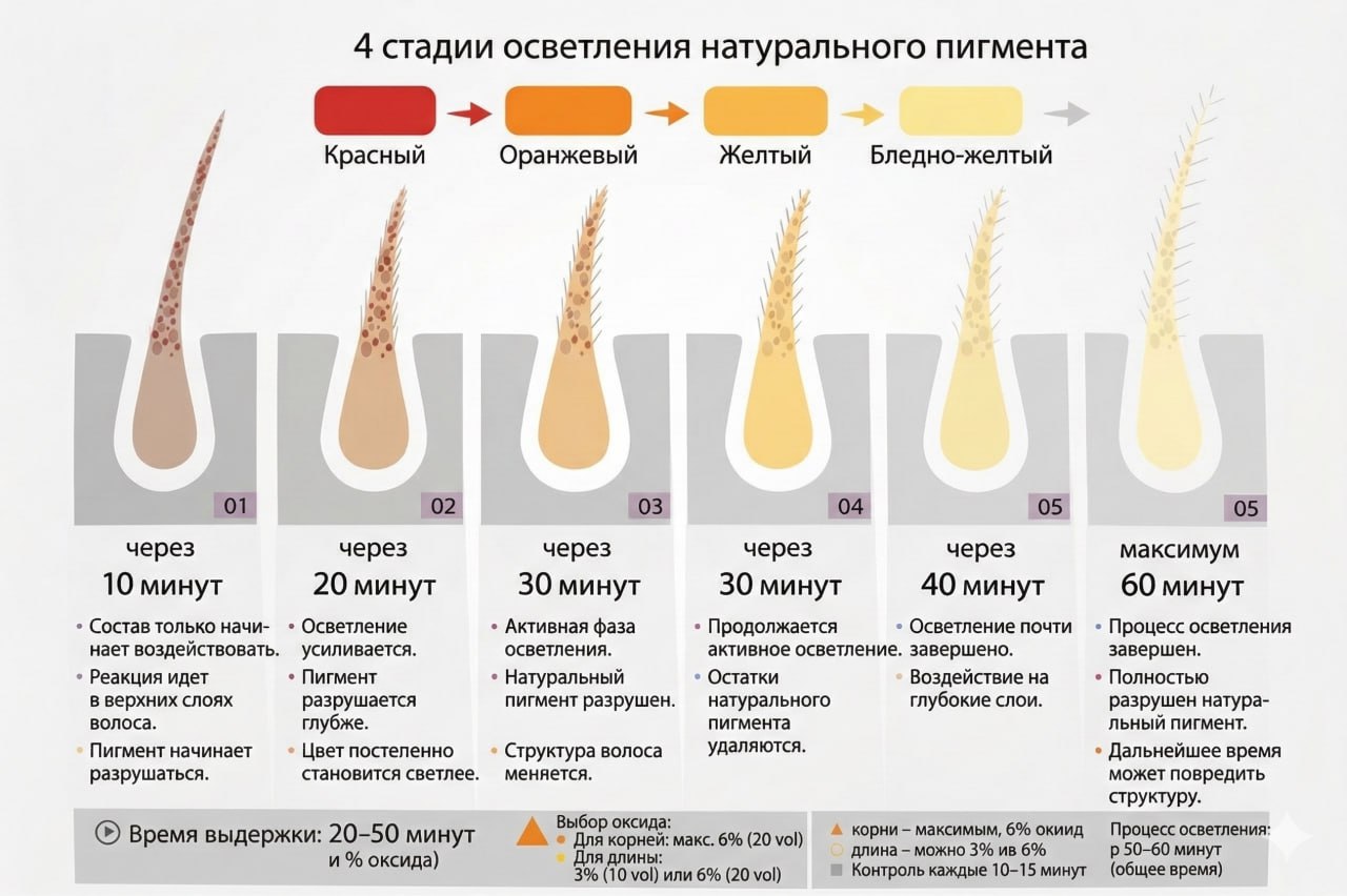 C:EHKO INFINITY BLOND WHITE - Imagine 2